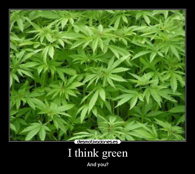 I think green - 