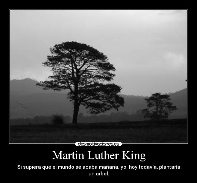 Martin Luther King - Si supiera que el mundo se acaba mañana, yo, hoy todavía, plantaría un árbol.