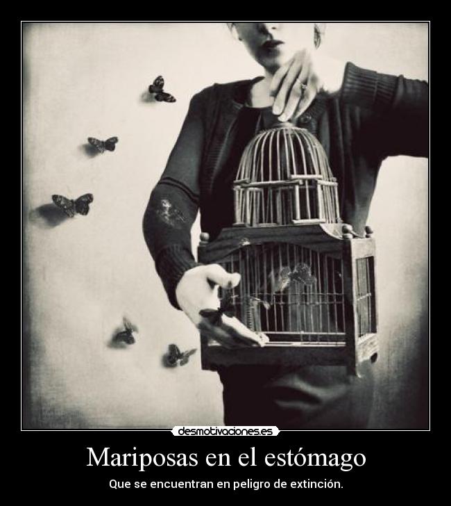 Mariposas en el estómago - 