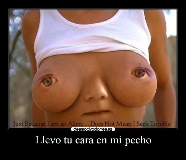 Llevo tu cara en mi pecho -