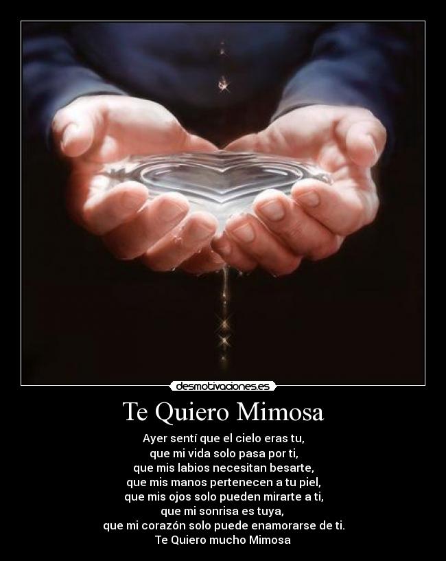 Te Quiero Mimosa - 