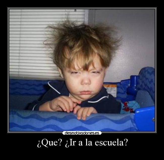 ¿Que? ¿Ir a la escuela? -