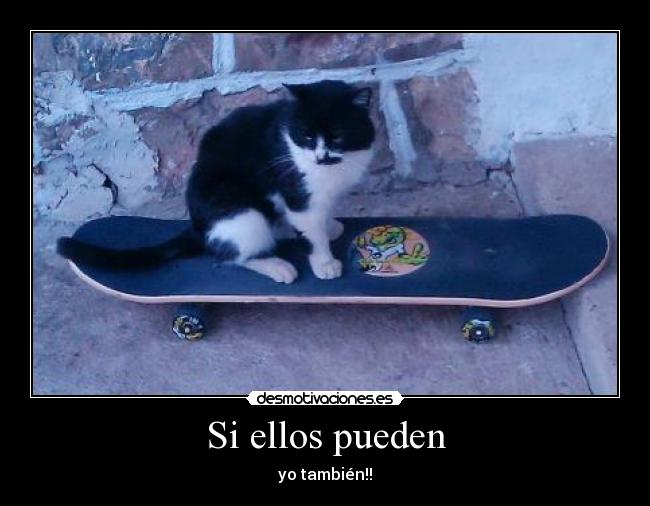 Si ellos pueden - 