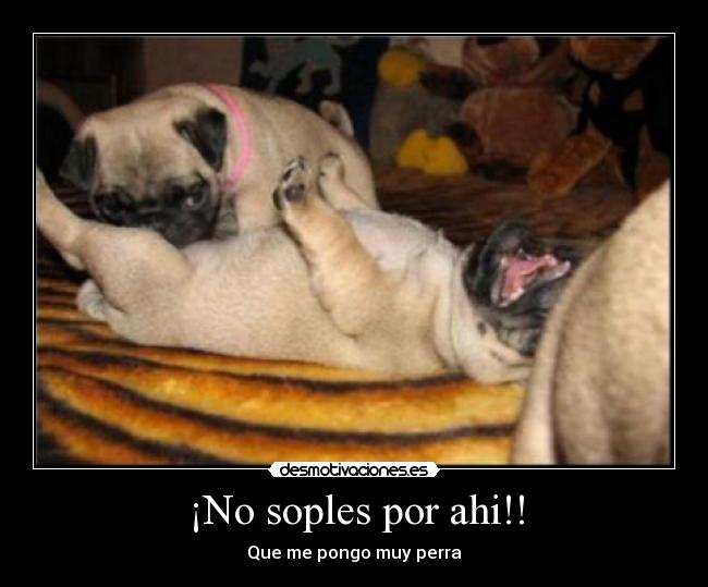 ¡No soples por ahi!! - Que me pongo muy perra