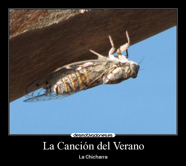 La Canción del Verano - La Chicharra