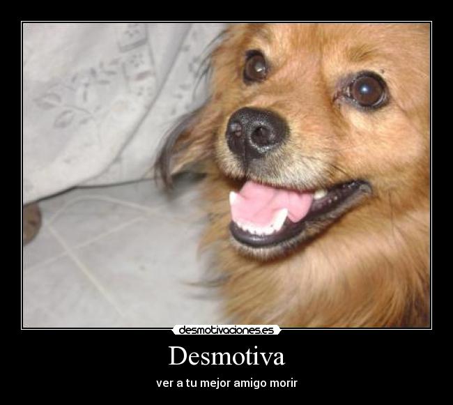 Desmotiva - ver a tu mejor amigo morir