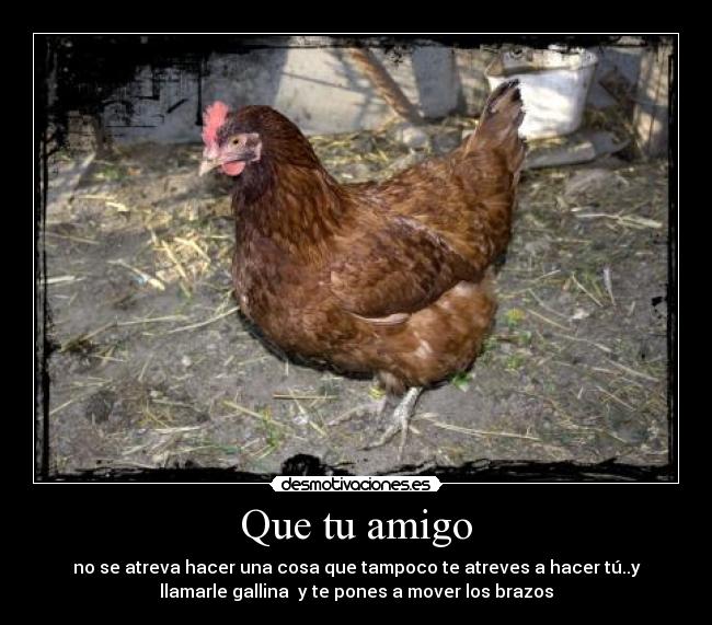Que tu amigo - 