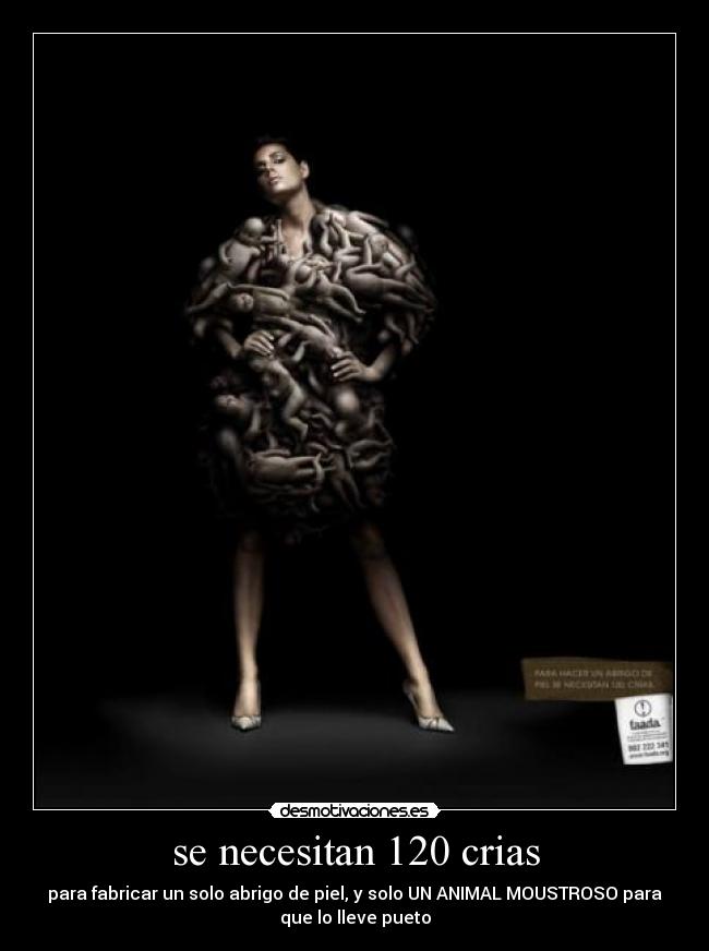 se necesitan 120 crias - 