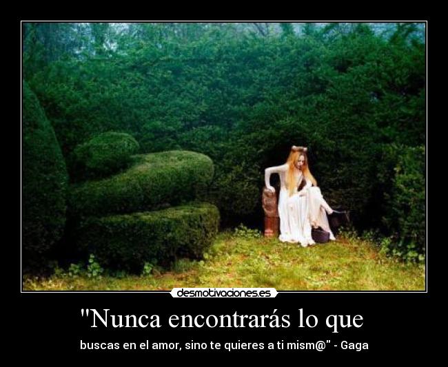 carteles lady gaga nunca encontraras que buscas amor sino quieres desmotivaciones