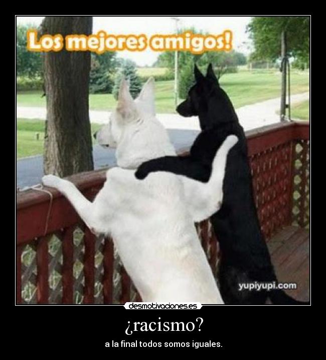 ¿racismo? - 