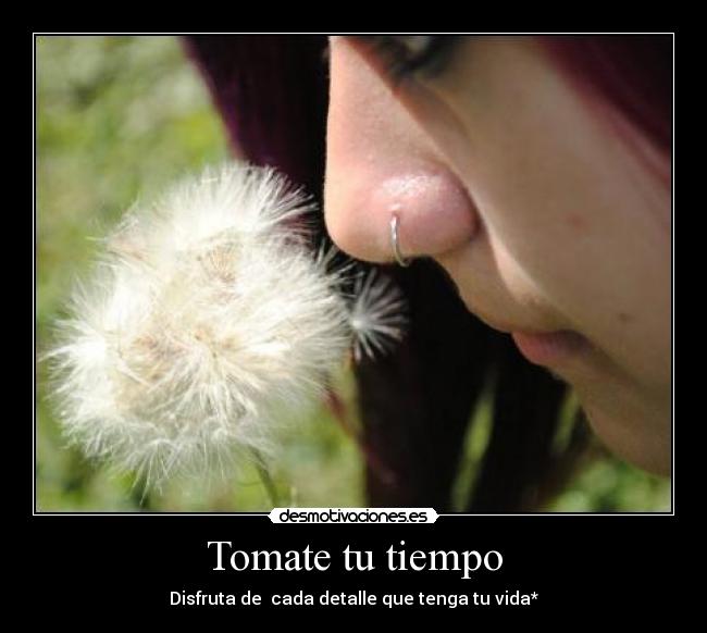 Tomate tu tiempo -