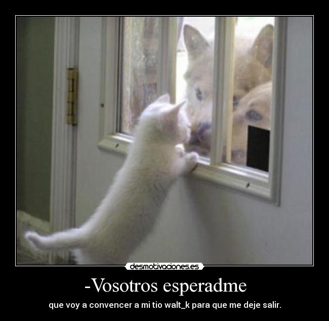 -Vosotros esperadme - que voy a convencer a mi tio walt_k para que me deje salir.
