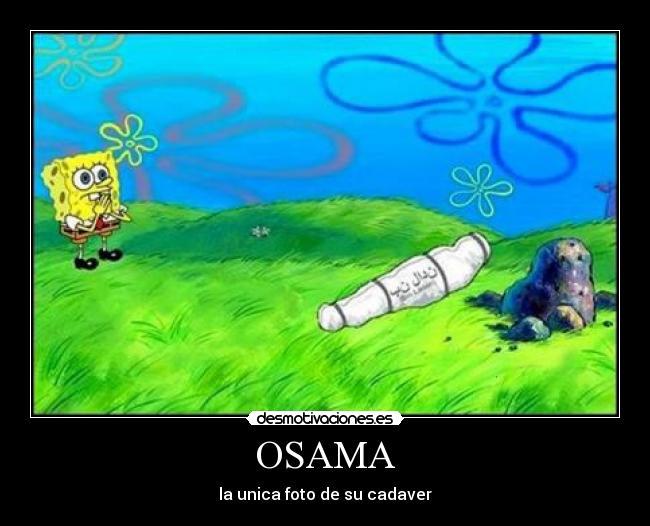 OSAMA - 