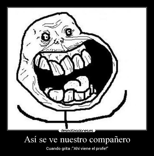 Así se ve nuestro compañero -
