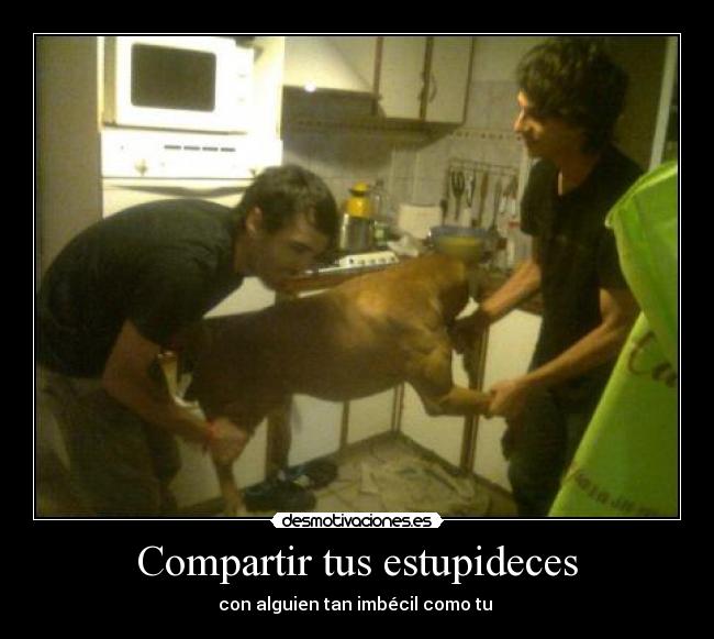 Compartir tus estupideces -