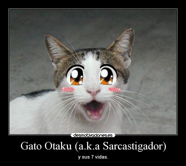 Gato Otaku (a.k.a Sarcastigador) - 