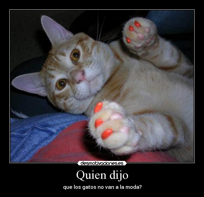 Quien dijo - 