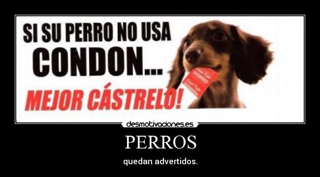 PERROS - quedan advertidos.