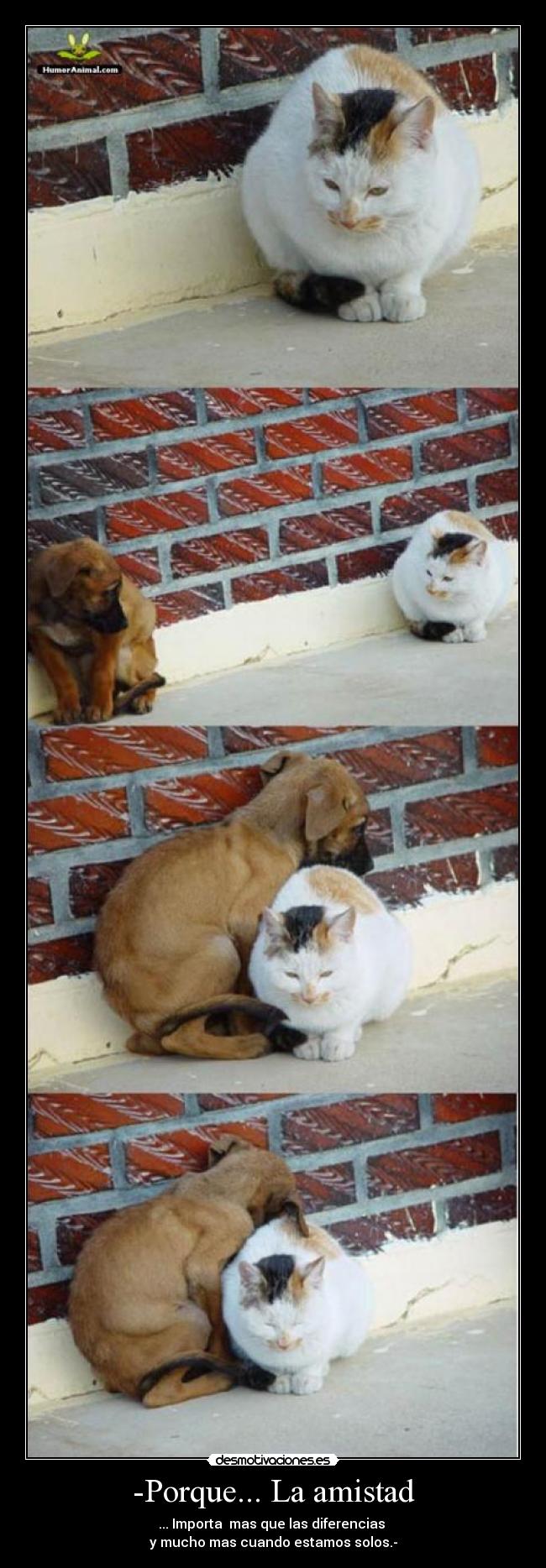 -Porque... La amistad - 