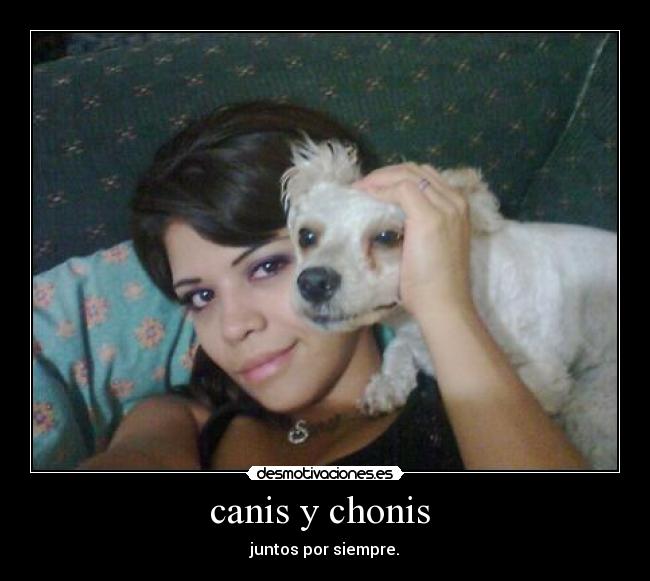 canis y chonis  - 