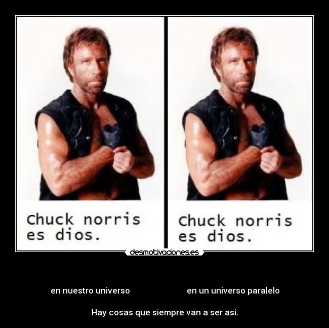 carteles chuck norris desmotivaciones