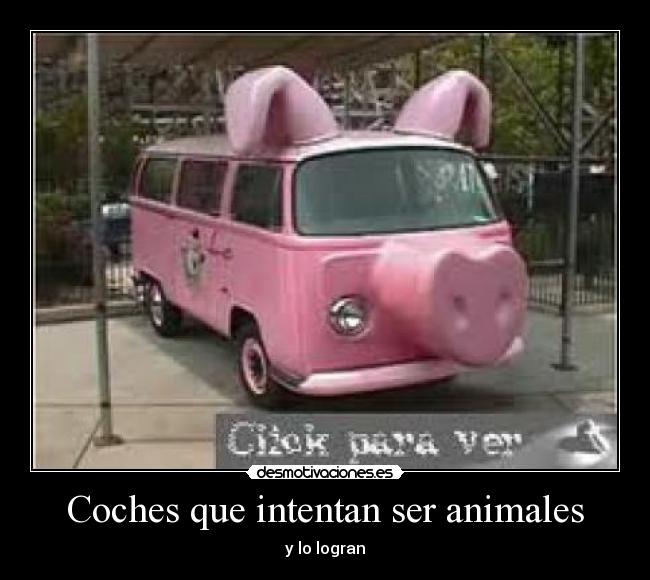 carteles animales coches desmotivaciones