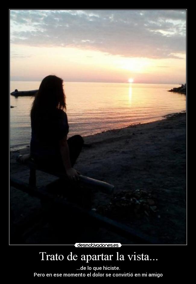 Trato de apartar la vista... - ...de lo que hiciste.
Pero en ese momento el dolor se convirtió en mi amigo