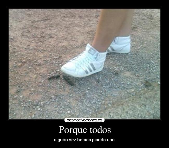 Porque todos - alguna vez hemos pisado una.