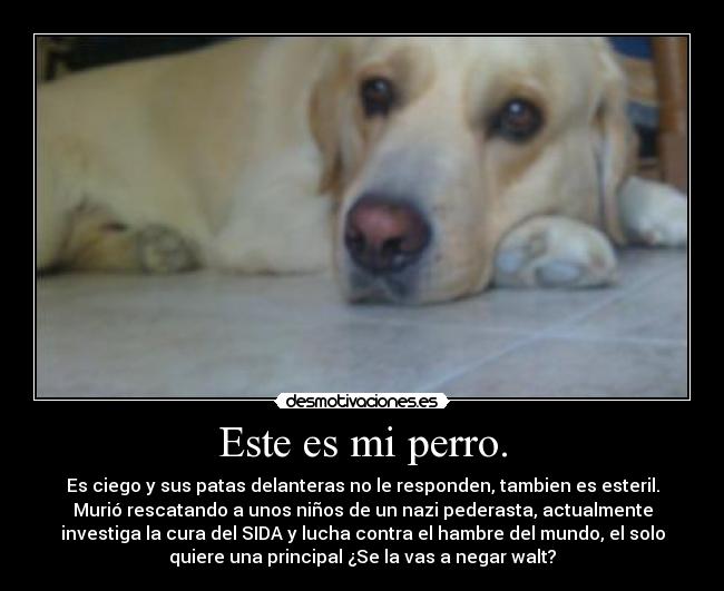 Este es mi perro. -