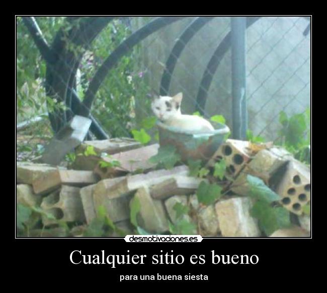 Cualquier sitio es bueno -