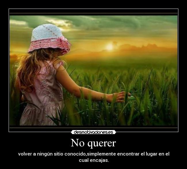 No querer - 