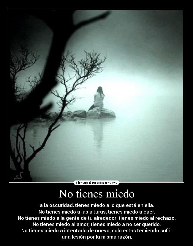 No tienes miedo - a la oscuridad, tienes miedo a lo que está en ella.
No tienes miedo a las alturas, tienes miedo a caer.
No tienes miedo a la gente de tu alrededor, tienes miedo al rechazo.
No tienes miedo al amor, tienes miedo a no ser querido.
No tienes miedo a intentarlo de nuevo, sólo estás temiendo sufrir
una lesión por la misma razón.