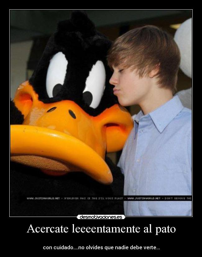 Acercate leeeentamente al pato -
con cuidado....no olvides que nadie debe verte...