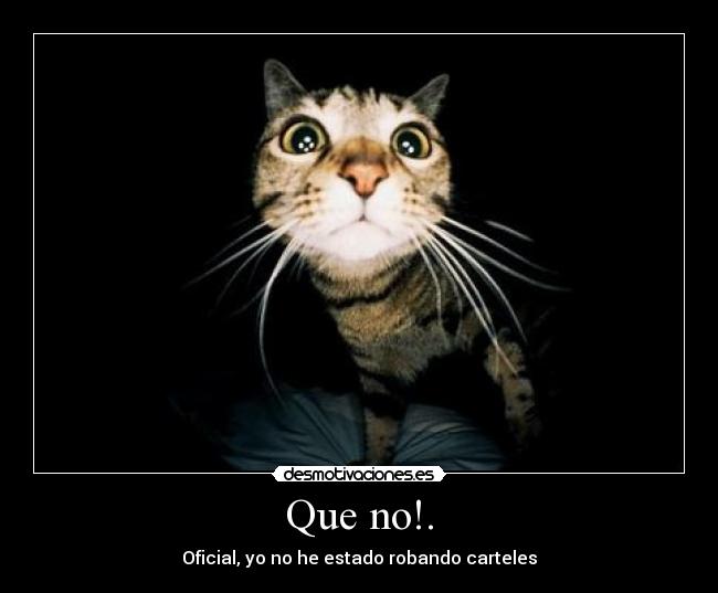 Que no!. - 