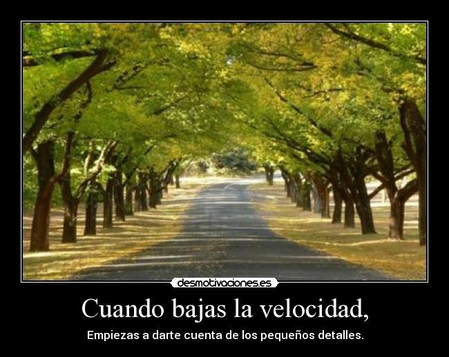 carteles walt_k desmotivaciones