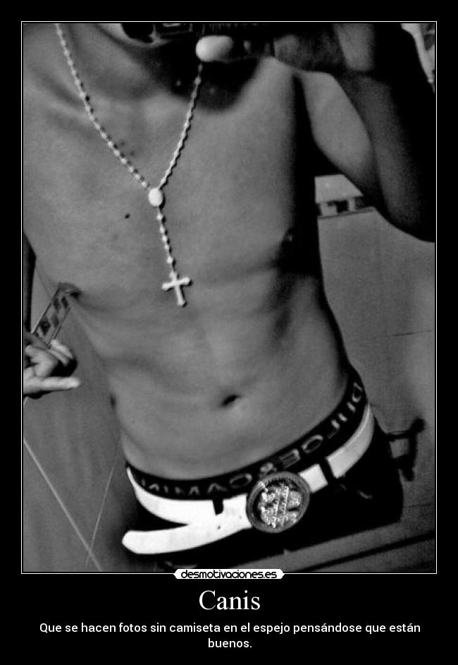 carteles canis chonis shhoii xoonii sin camiseta frikis feos estan buenos desmotivaciones