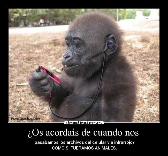 ¿Os acordais de cuando nos  - 