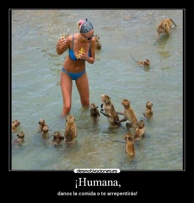 ¡Humana, - danos la comida o te arrepentirás!