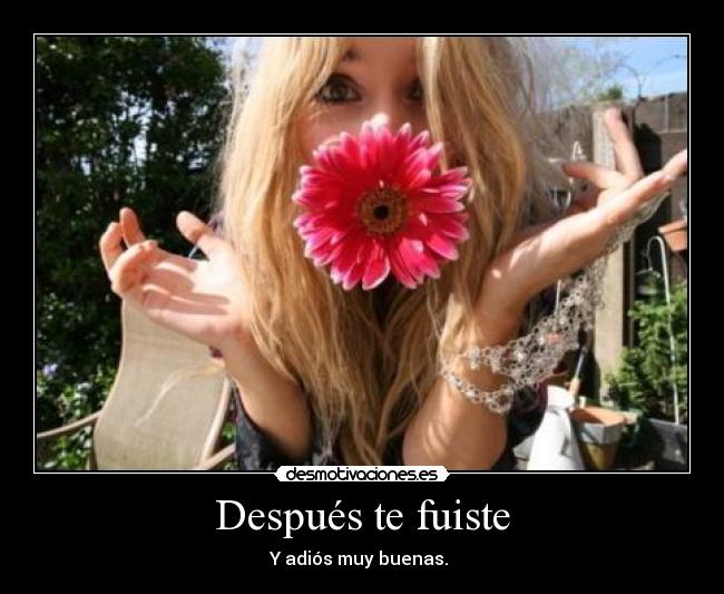 Después te fuiste - 