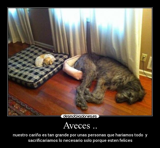 Aveces .. - 