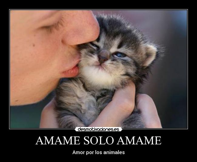 carteles soledad naves oetro desmotivaciones