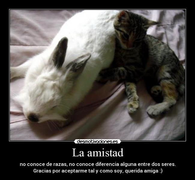 La amistad - no conoce de razas, no conoce diferencia alguna entre dos seres.
Gracias por aceptarme tal y como soy, querida amiga :)