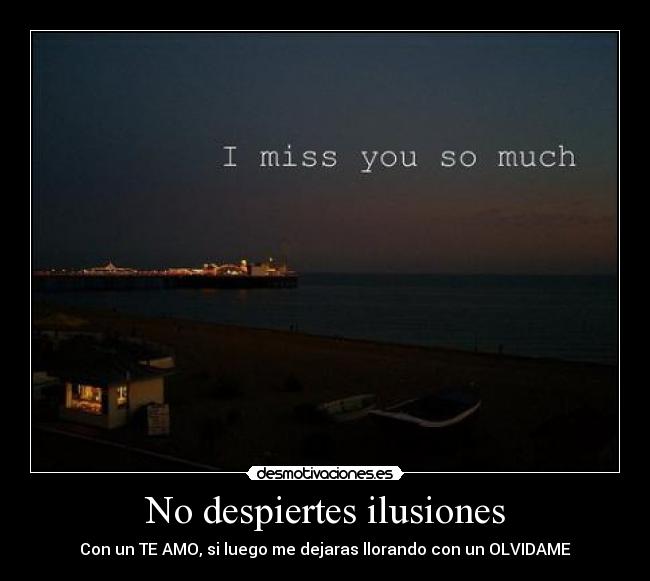 No despiertes ilusiones - 