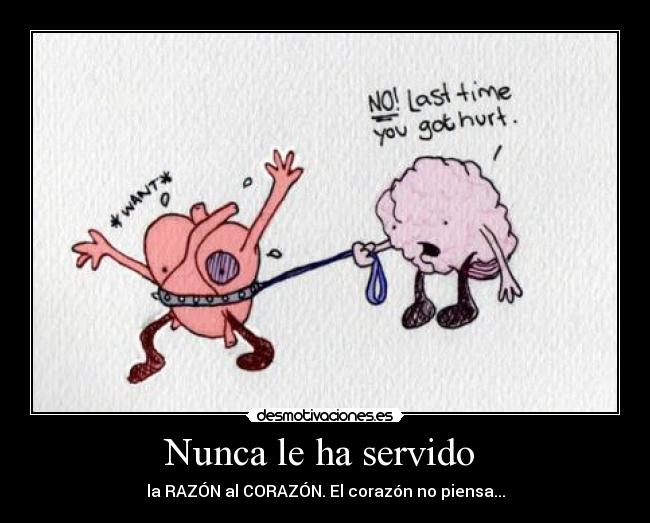 Nunca le ha servido -