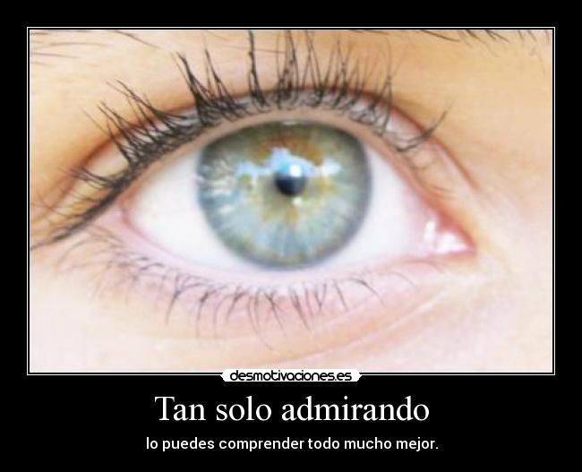 carteles admirando desmotivaciones