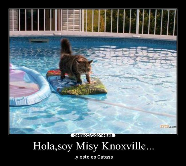 Hola,soy Misy Knoxville... -
