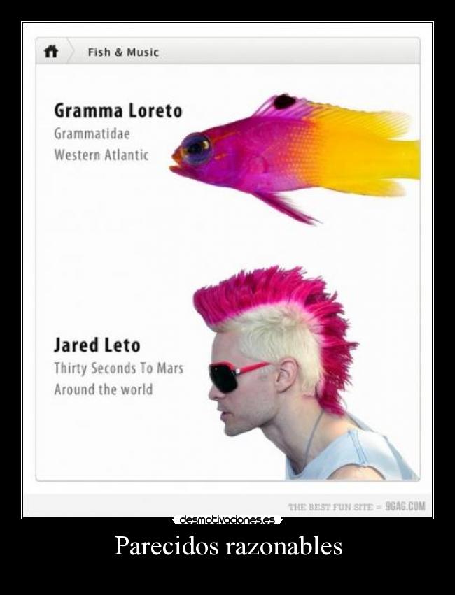 carteles jared leto jared letto parecidos broma humor desmotivaciones