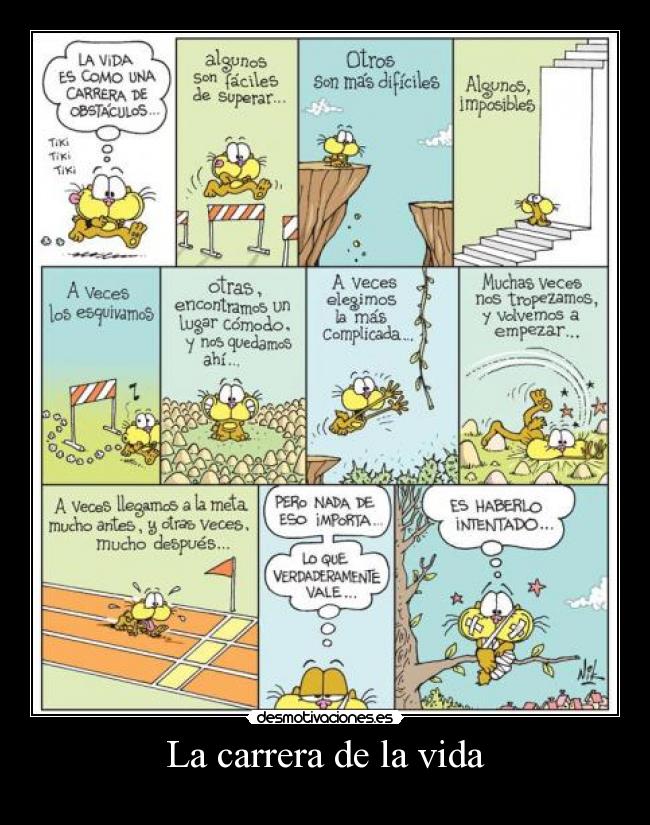 La carrera de la vida -