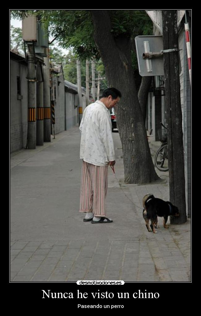 Nunca he visto un chino -