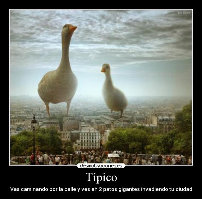 Típico -